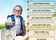 Kháng sinh thiên nhiên từ Yến sào