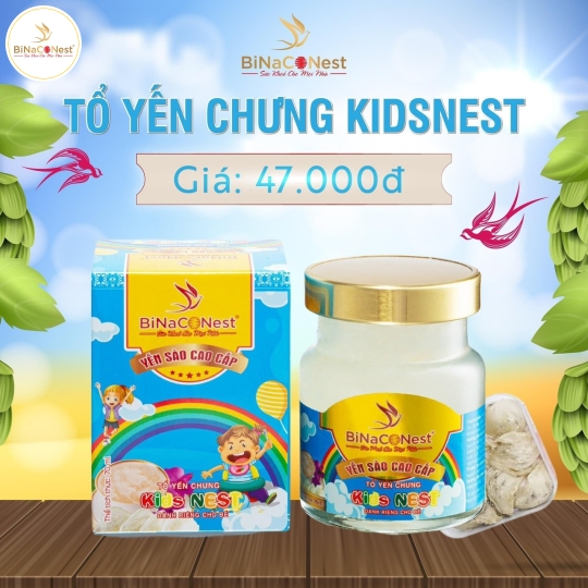 TỔ YẾN DÀNH RIÊNG CHO BÉ - KIDNEST