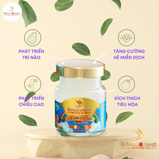 TỔ YẾN DÀNH RIÊNG CHO BÉ - KIDNEST